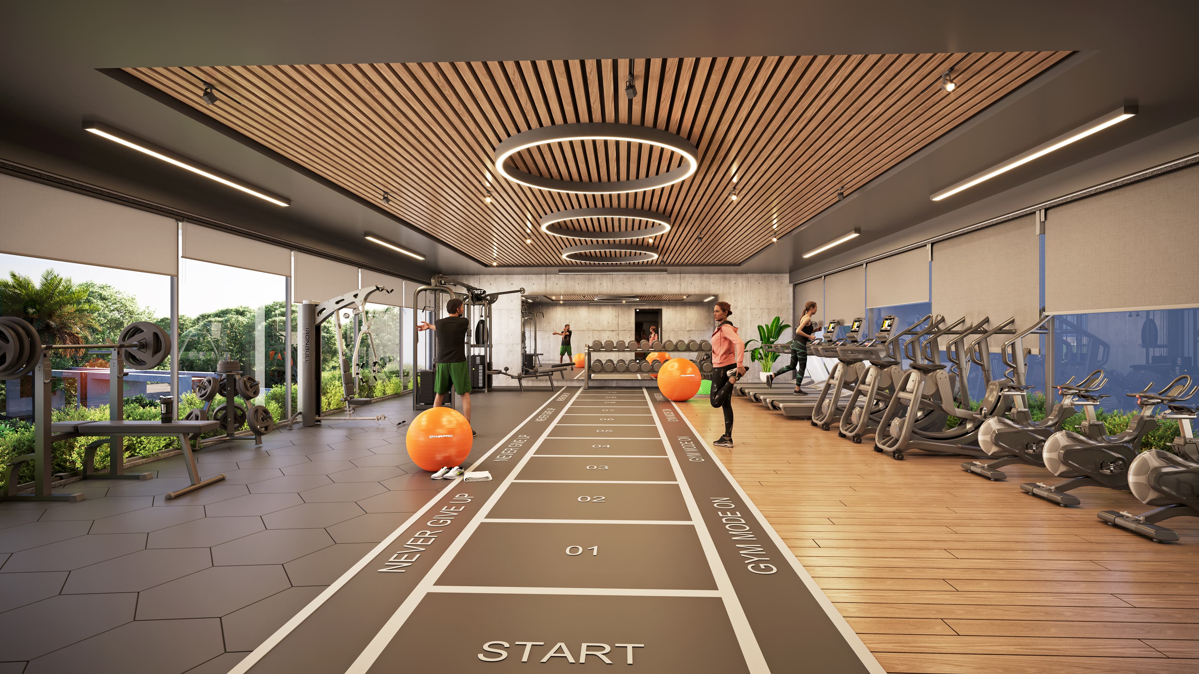 Gymnasium